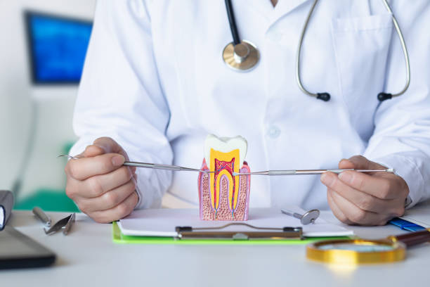 Best Emergency Dentist for Lost Fillings or Crowns in Pocono Woodland Lakes, PA